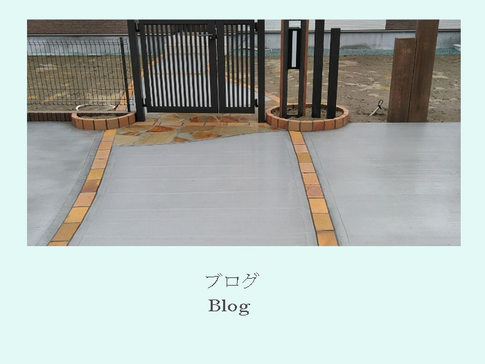 川内造園　ヤシの木