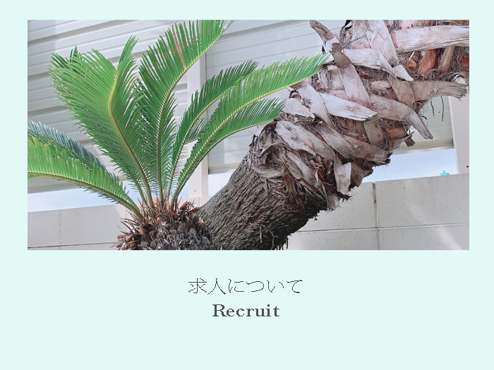 川内造園　ヤシの木